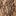 Floral Lace Tights_undefined