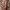 Pareo Largo Tropical_0BDG155_color_028E