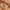 Korte Sokken Gaas met Bloemen-Patroon_DCZ020_color_5179