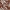 Pareo Largo Tropical_0BDG155_color_028E