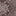 Brazilian Bikini Bottoms Paisley_undefined