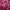 Çıkarılabilir Dolgulu Üçgen Bikini Üstü Glowing Surface_0RTE1806_color_054E
