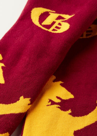 Pánske protišmykové ponožky s motívom Harryho Pottera