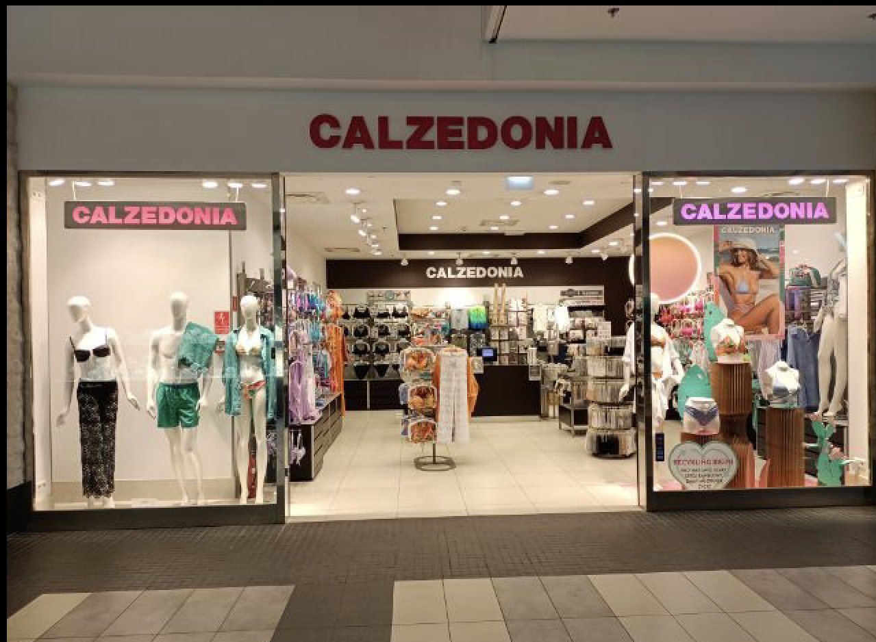 Calzedonia PLOCK SC WISLA