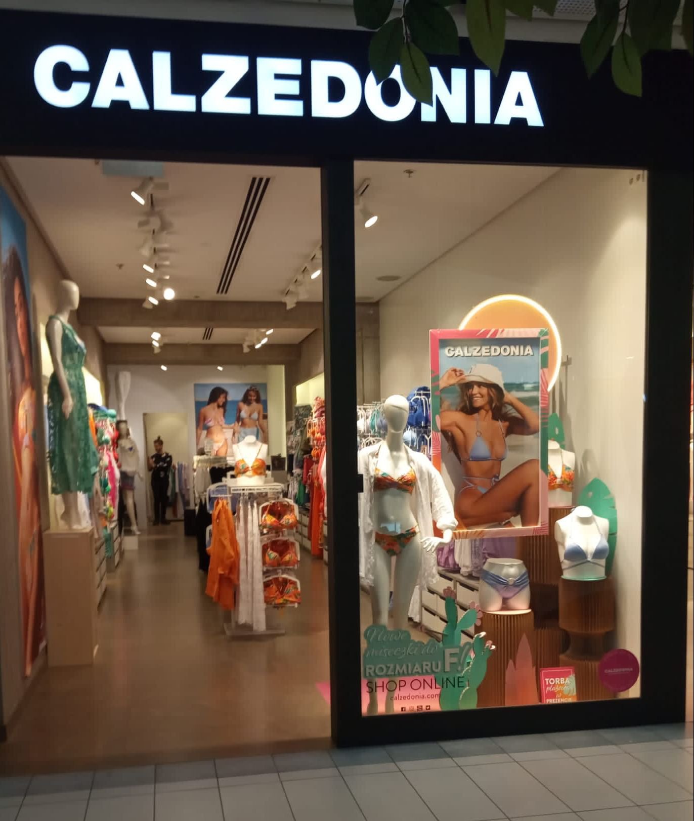 Calzedonia BYDGOSZCZ SC FOCUS MALL