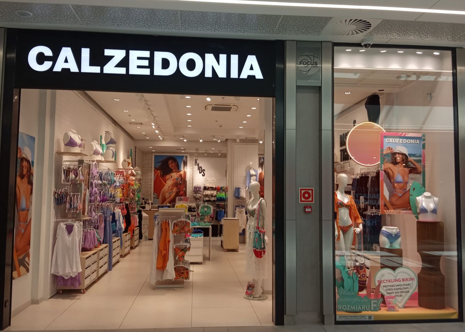 Calzedonia ZIELONA GORA SC FOCUS MALL