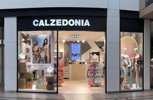 Calzedonia HAMBURG SC ELBE