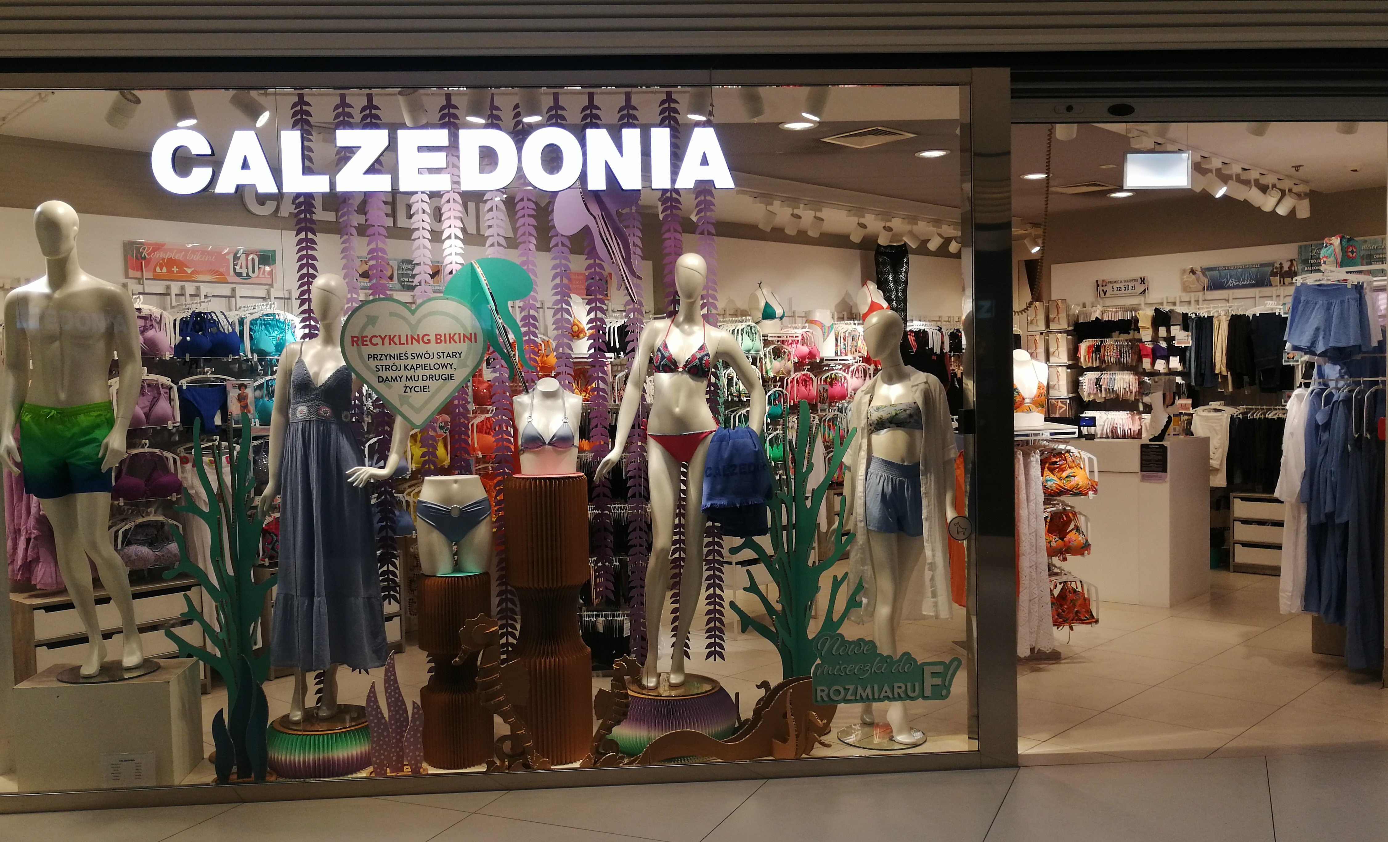 Calzedonia GDANSK SC MADISON